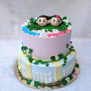 Twins Peek-a-Boo Two Tier Cake by Bakeology, Gwalior