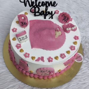 Welcome Baby Girl Pink Cake by Bakeology, Gwalior